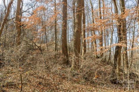 0 E Brocktown Road Moravian Falls NC 28654