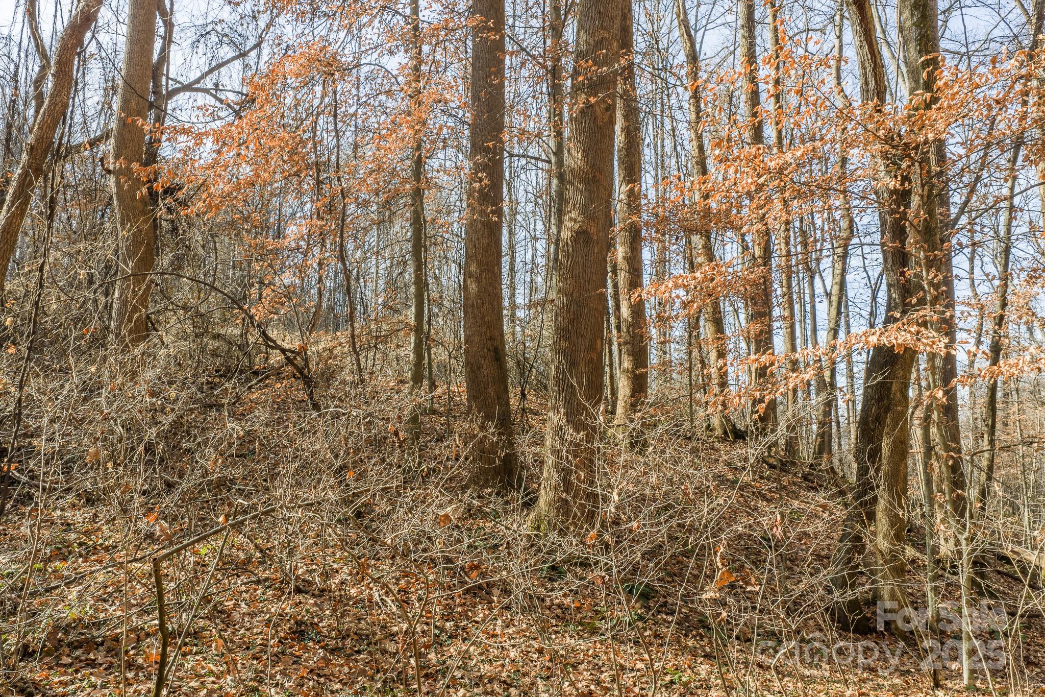0 E Brocktown Road Moravian Falls NC 28654