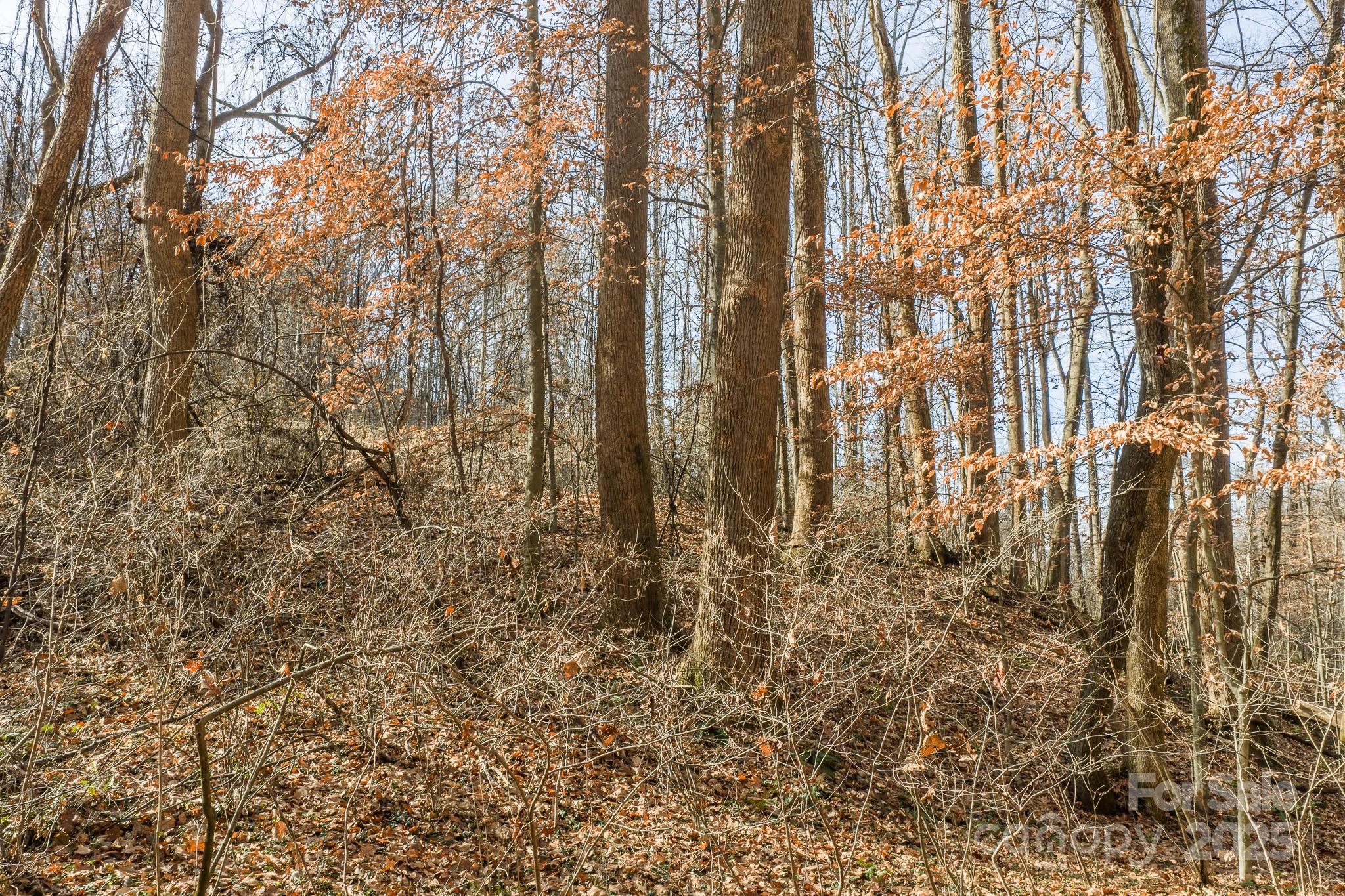 0 E Brocktown Road Moravian Falls NC 28654