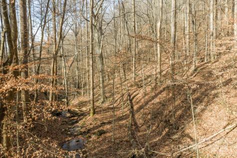 0 E Brocktown Road Moravian Falls NC 28654