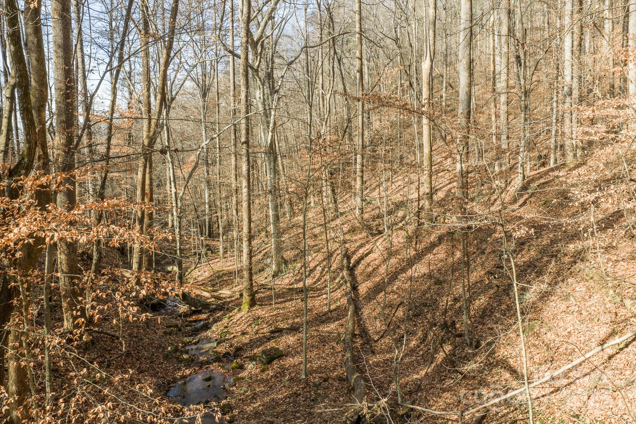 0 E Brocktown Road Moravian Falls NC 28654