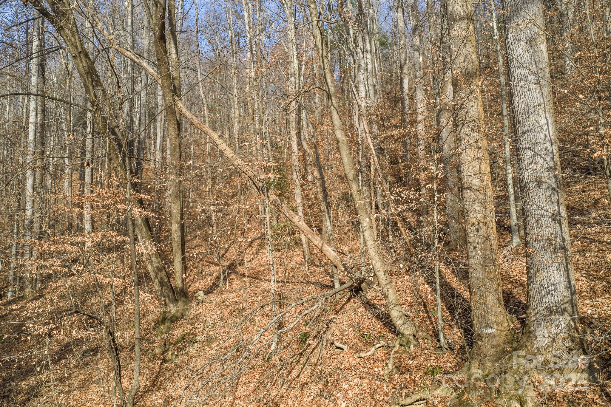 0 E Brocktown Road Moravian Falls NC 28654