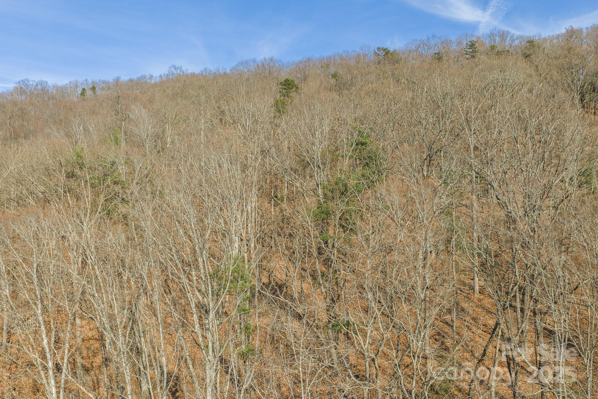 0 E Brocktown Road Moravian Falls NC 28654