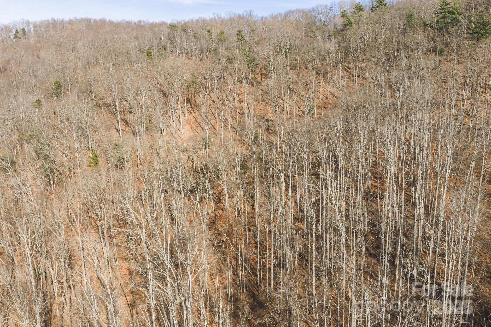 0 E Brocktown Road Moravian Falls NC 28654