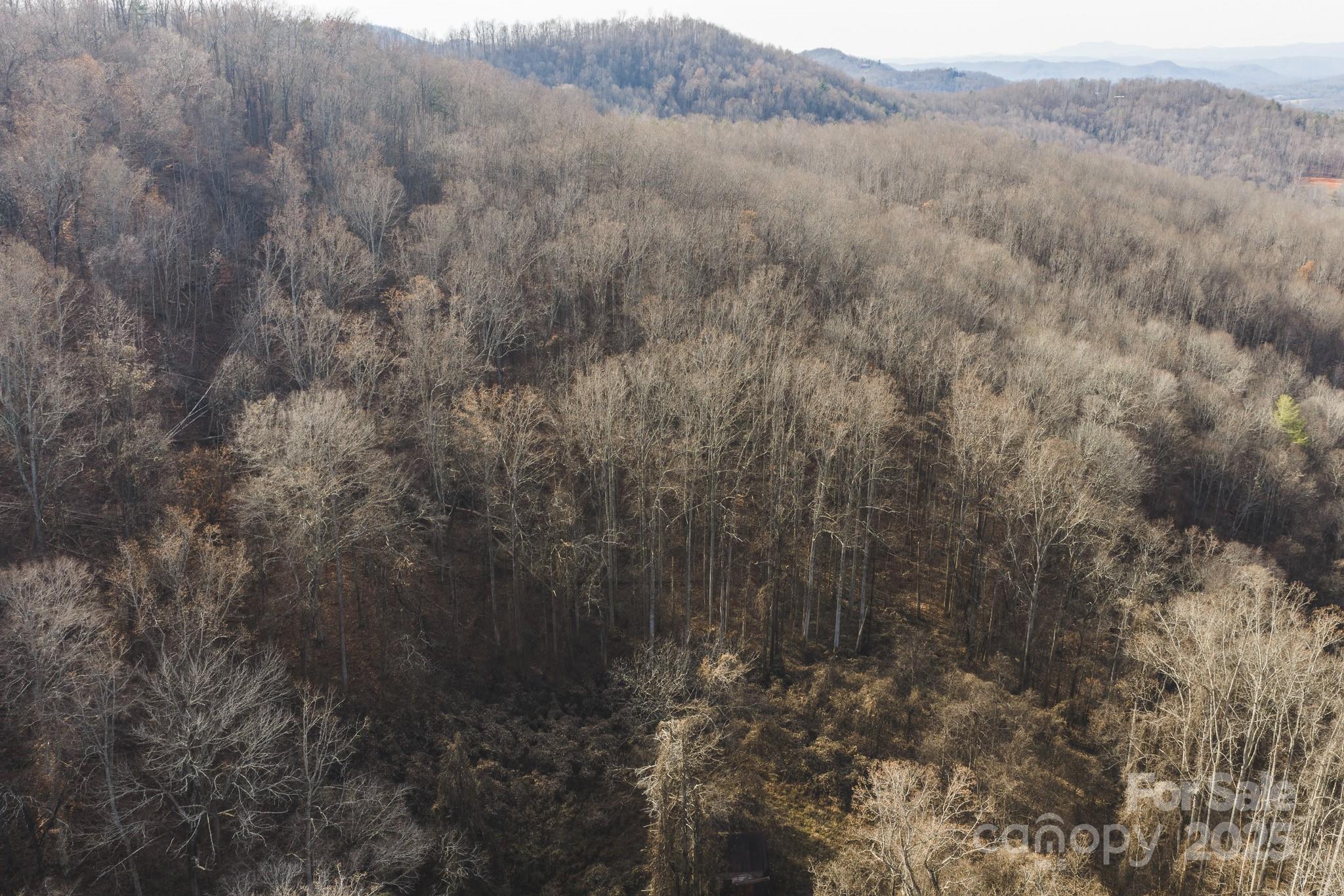 0 E Brocktown Road Moravian Falls NC 28654