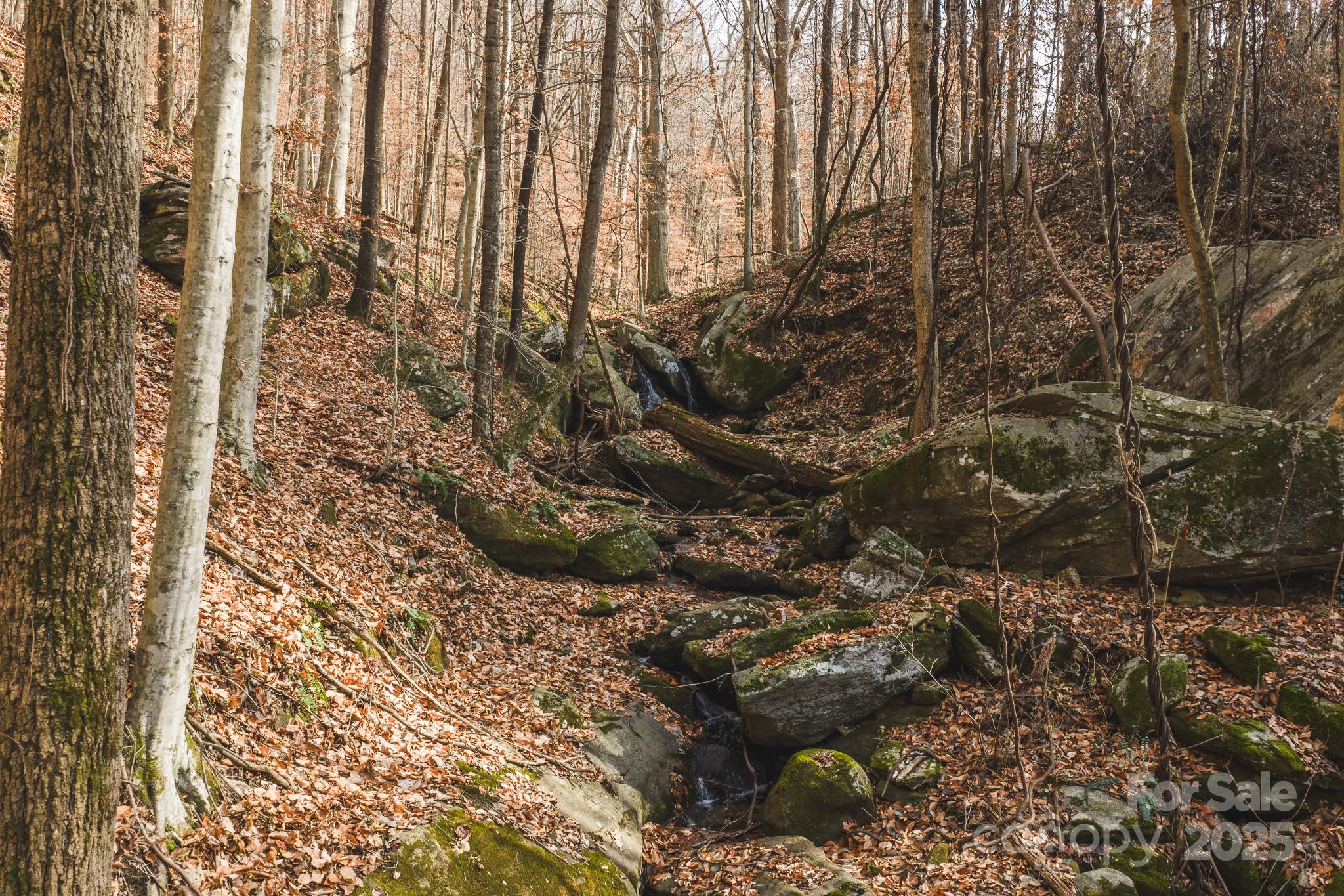 0 E Brocktown Road Moravian Falls NC 28654
