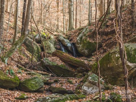 0 E Brocktown Road Moravian Falls NC 28654