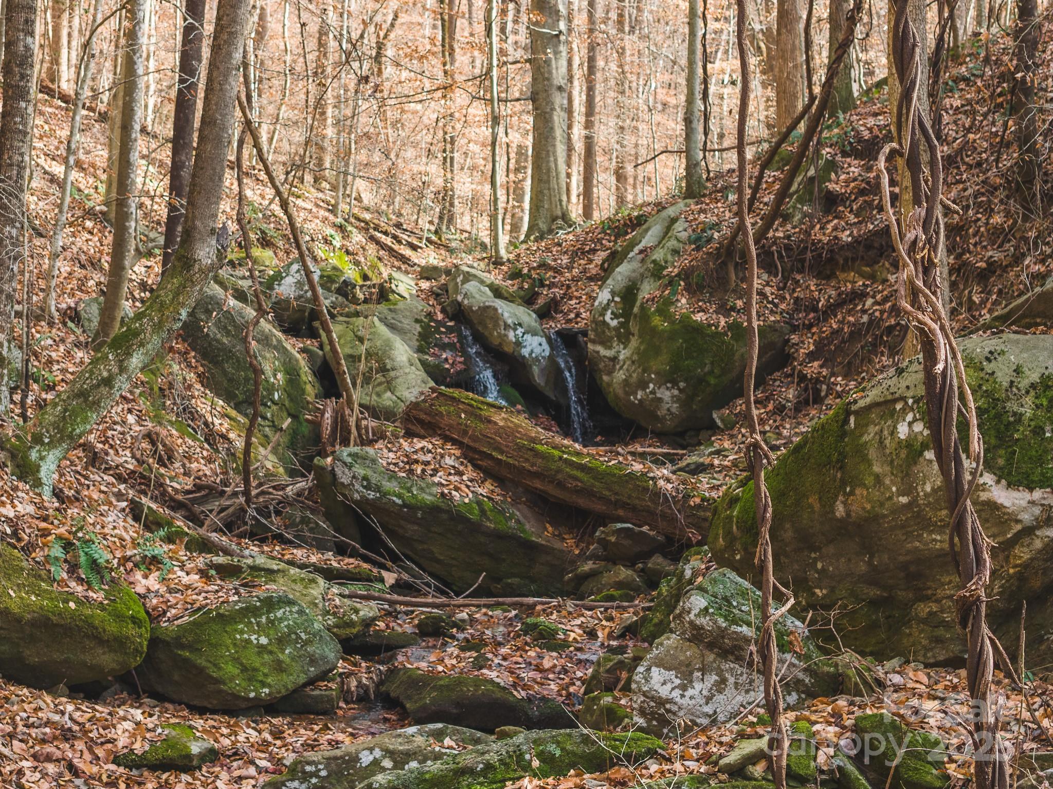0 E Brocktown Road Moravian Falls NC 28654