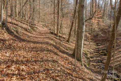 0 E Brocktown Road Moravian Falls NC 28654