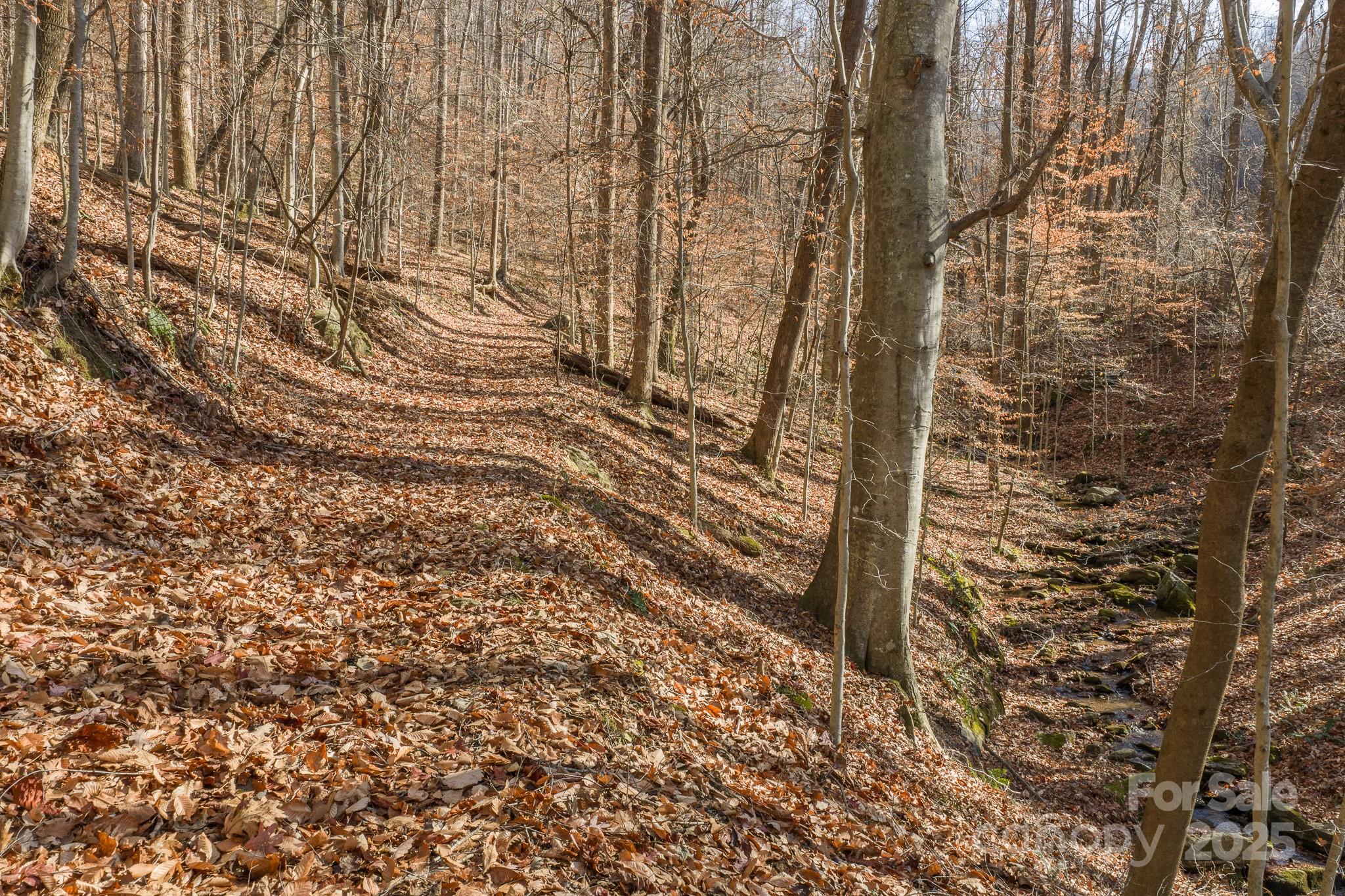 0 E Brocktown Road Moravian Falls NC 28654
