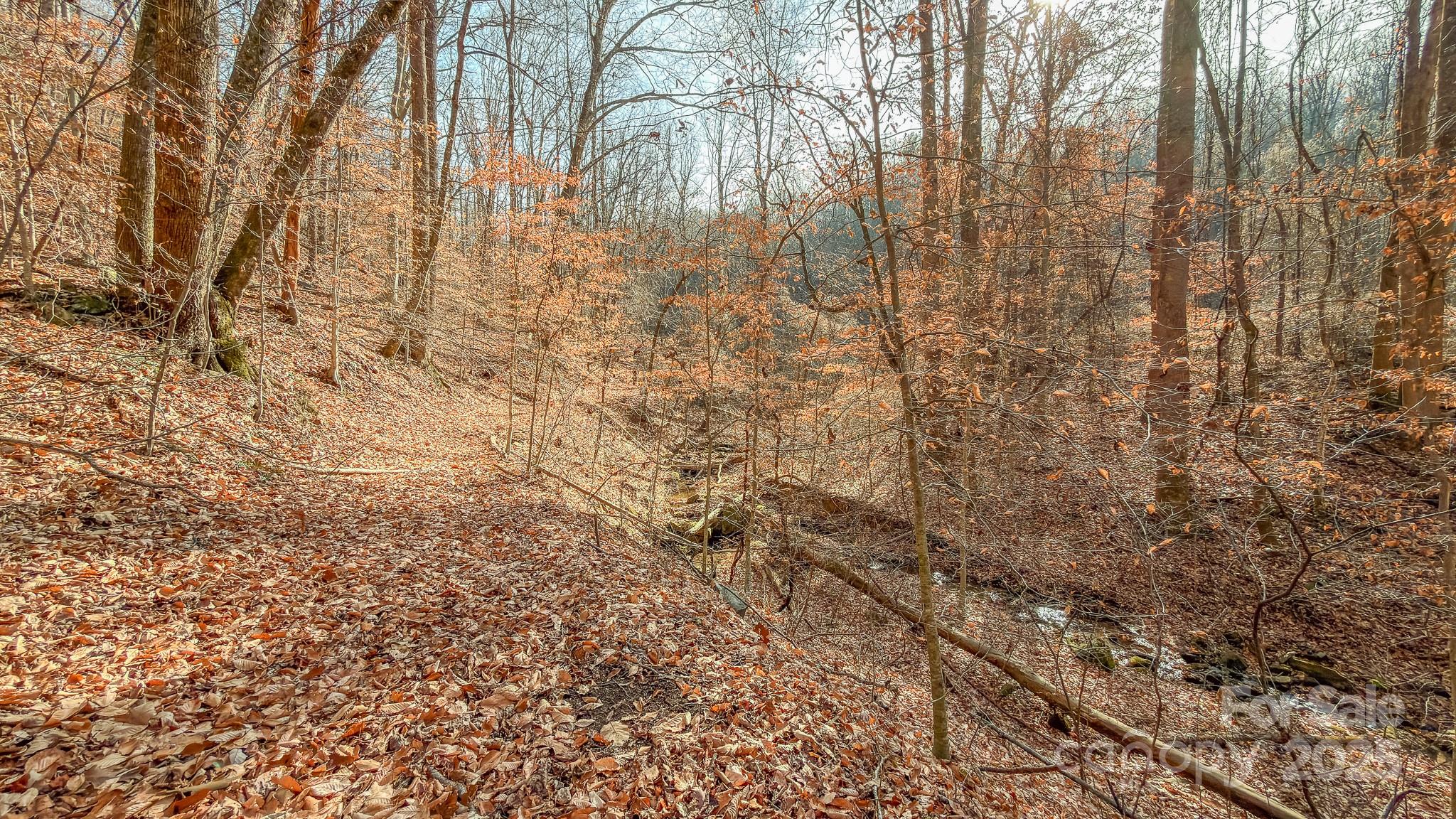 0 E Brocktown Road Moravian Falls NC 28654