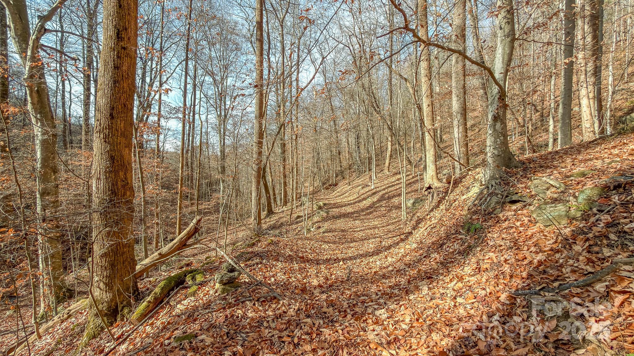 0 E Brocktown Road Moravian Falls NC 28654
