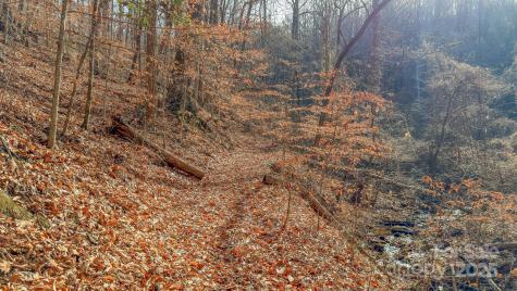 0 E Brocktown Road Moravian Falls NC 28654