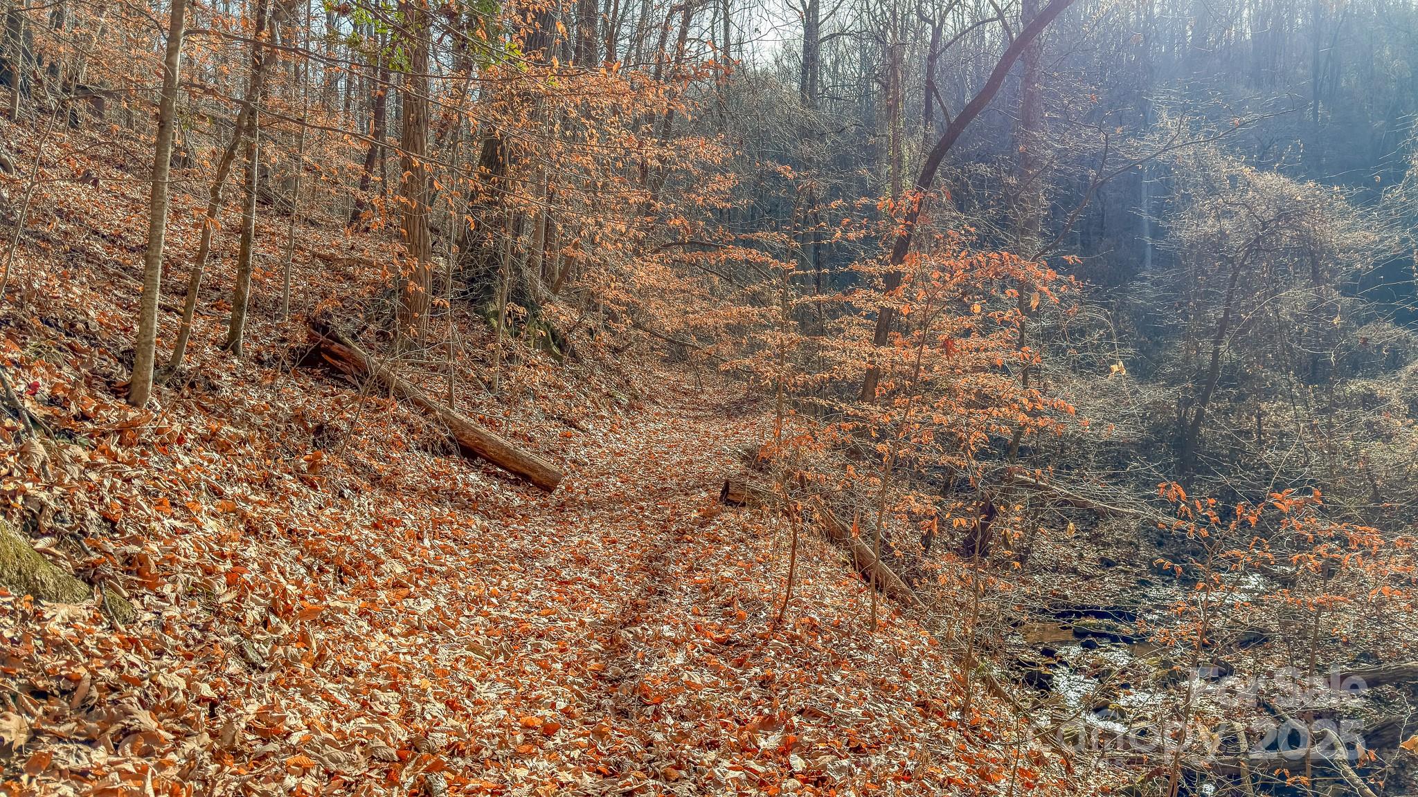 0 E Brocktown Road Moravian Falls NC 28654