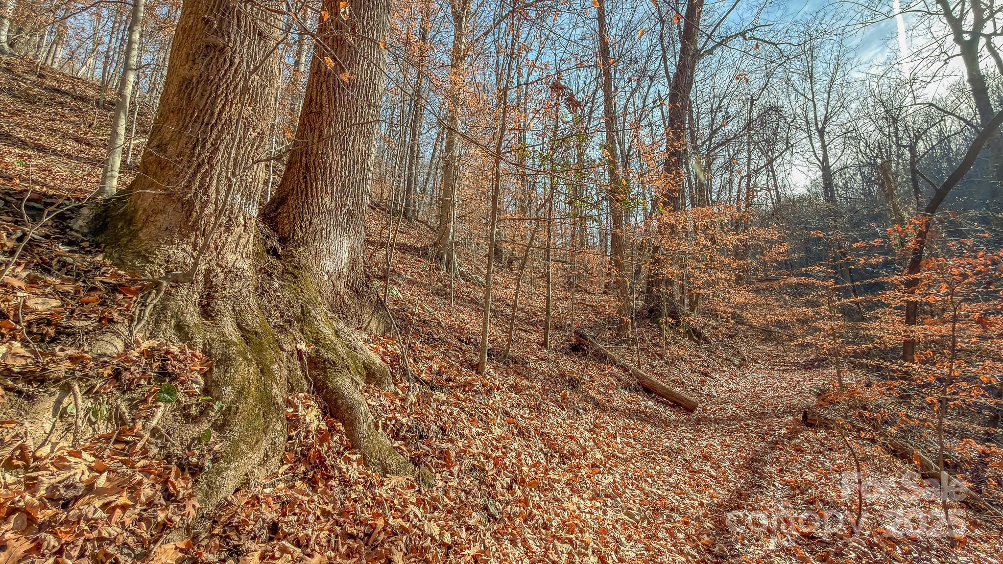 0 E Brocktown Road Moravian Falls NC 28654