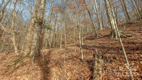 0 E Brocktown Road Moravian Falls NC 28654
