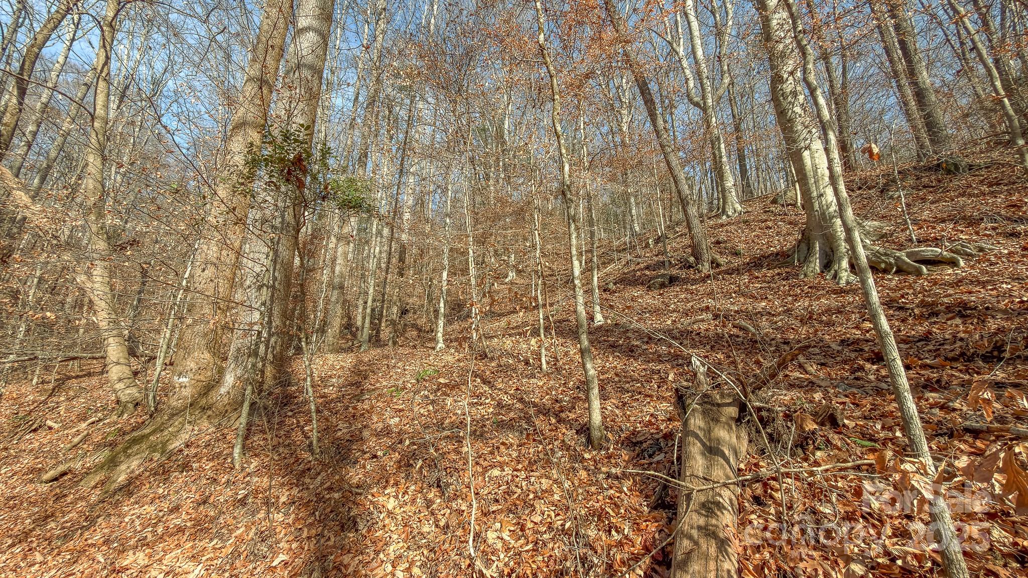 0 E Brocktown Road Moravian Falls NC 28654