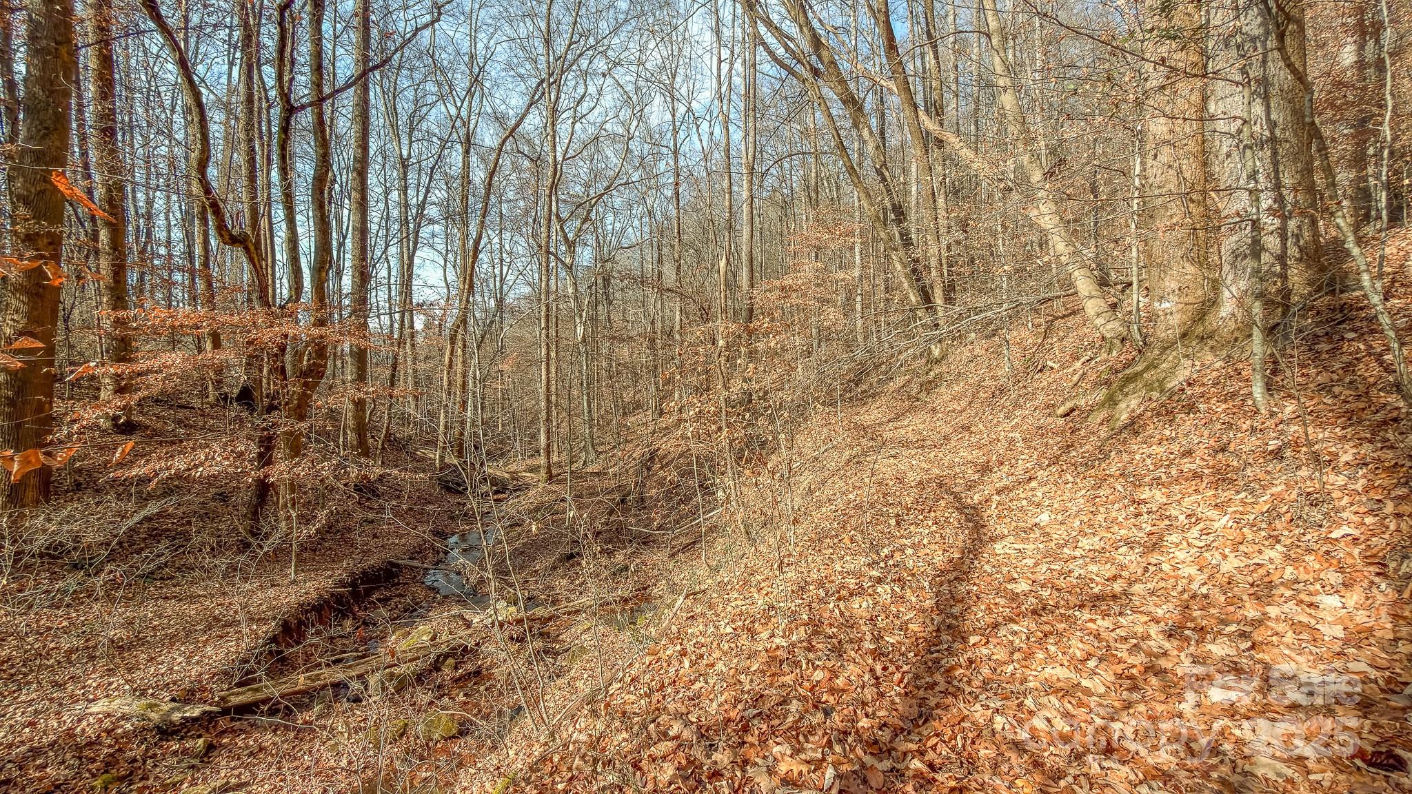 0 E Brocktown Road Moravian Falls NC 28654
