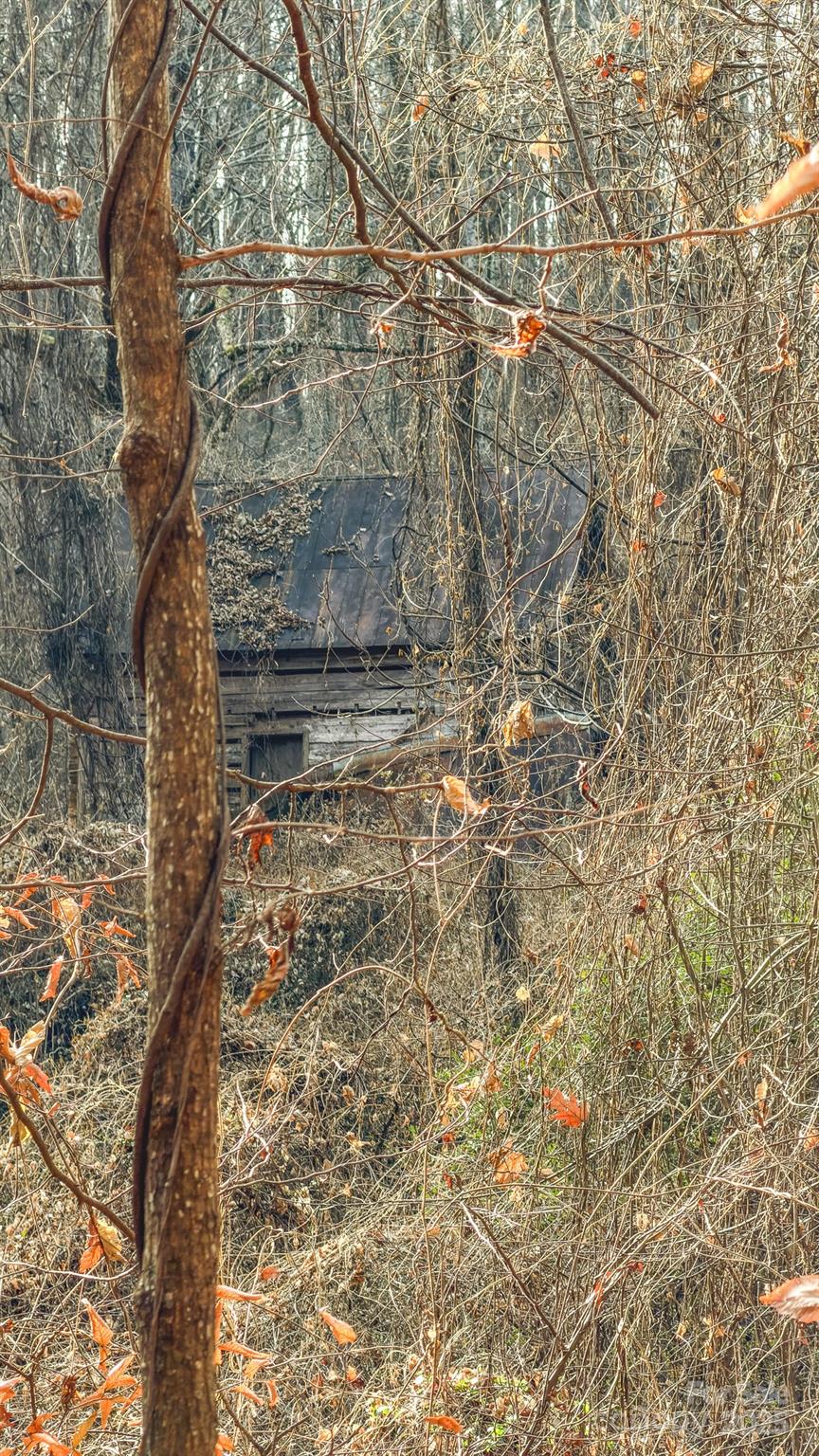 0 E Brocktown Road Moravian Falls NC 28654