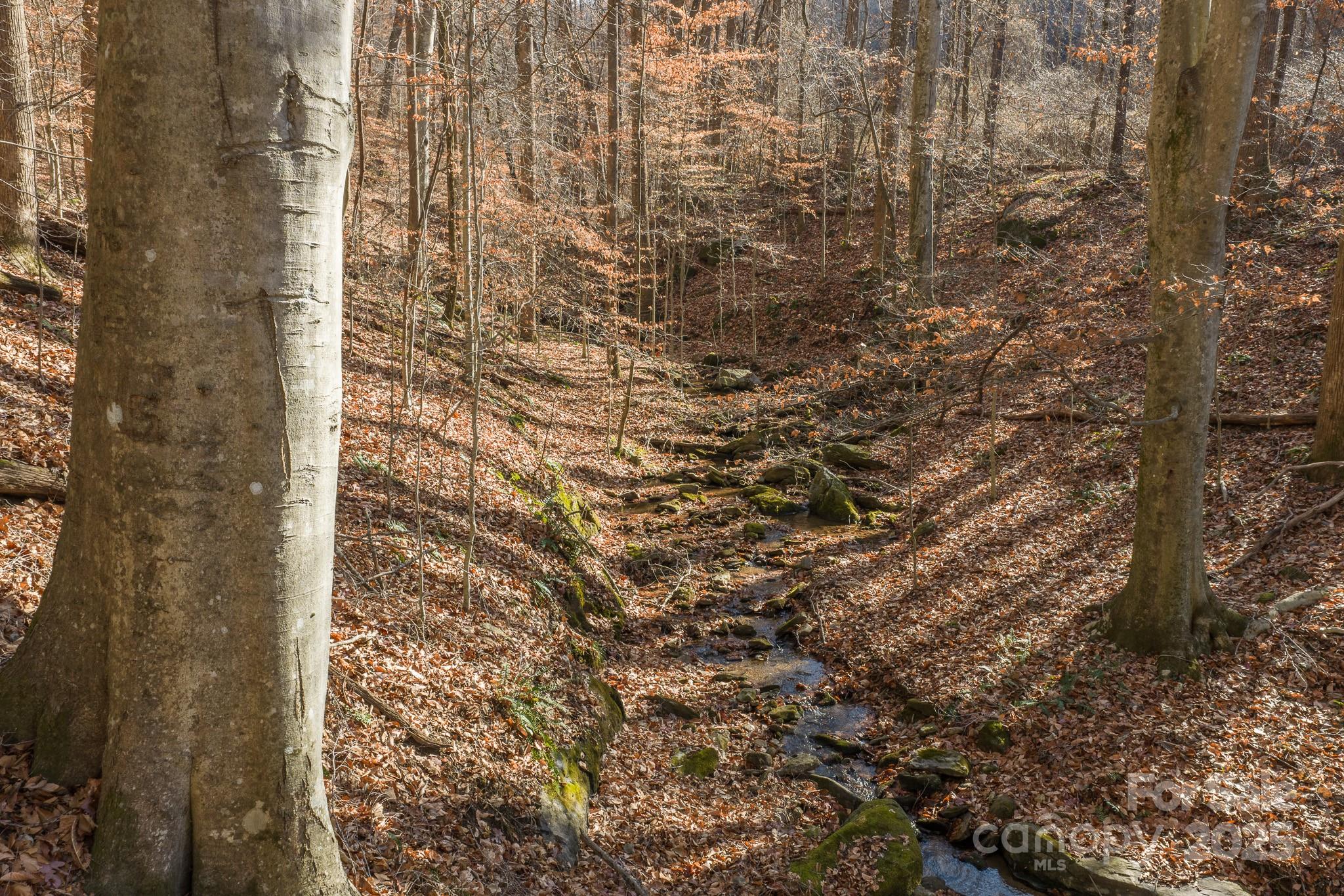 0 E Brocktown Road Moravian Falls NC 28654