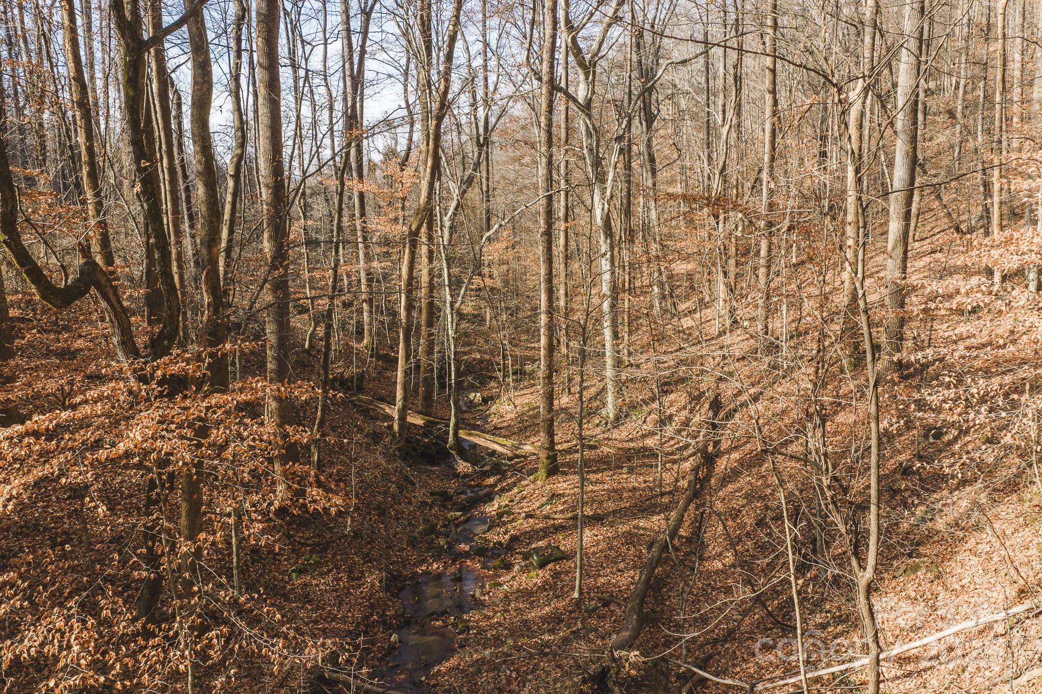0 E Brocktown Road Moravian Falls NC 28654