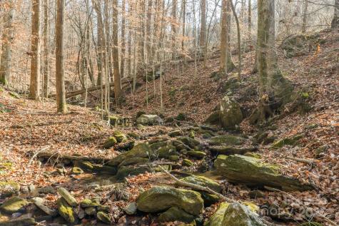 0 E Brocktown Road Moravian Falls NC 28654