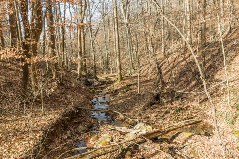 0 E Brocktown Road Moravian Falls NC 28654