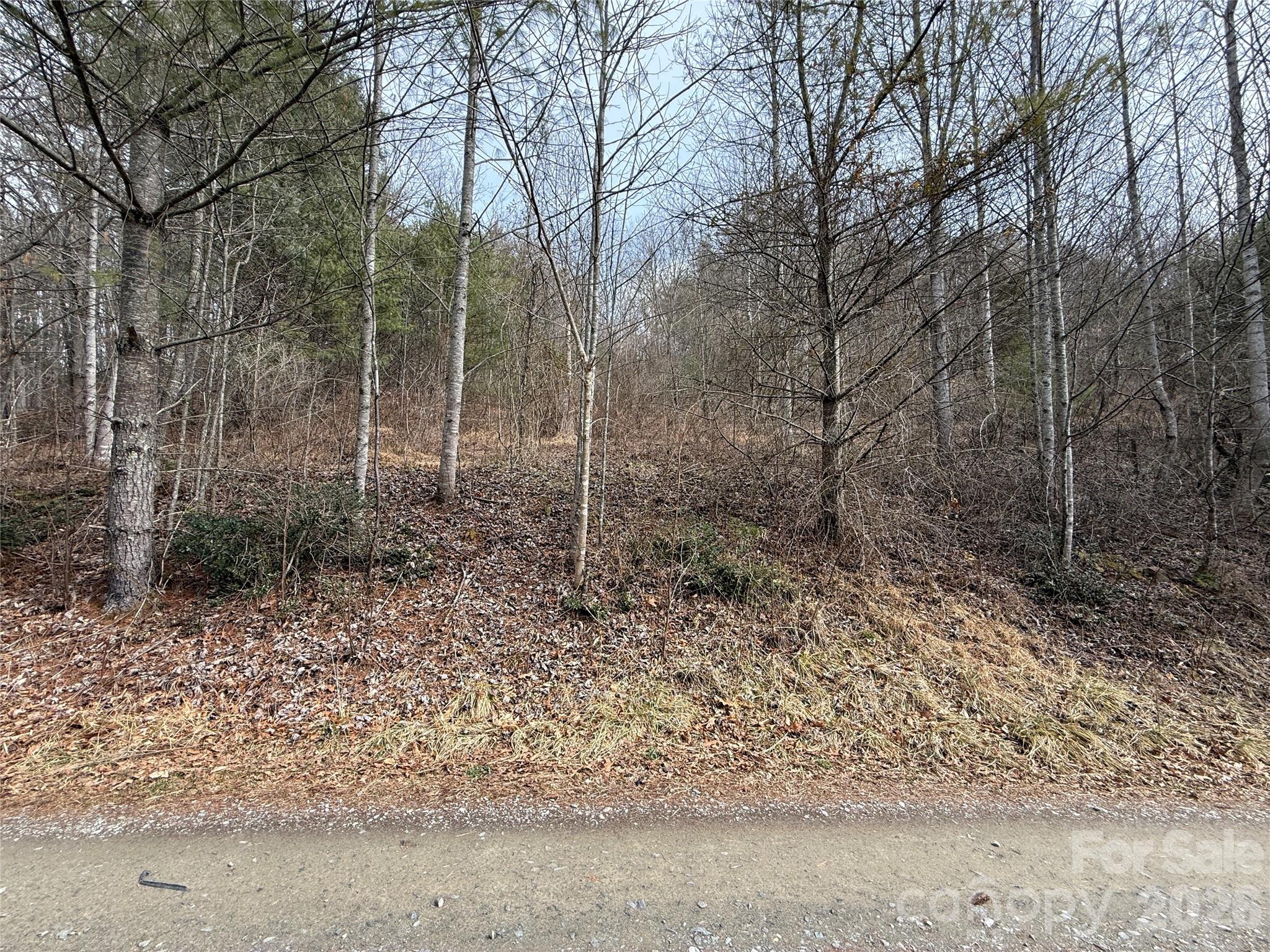 000 Rosalie Lane Waynesville NC 28785