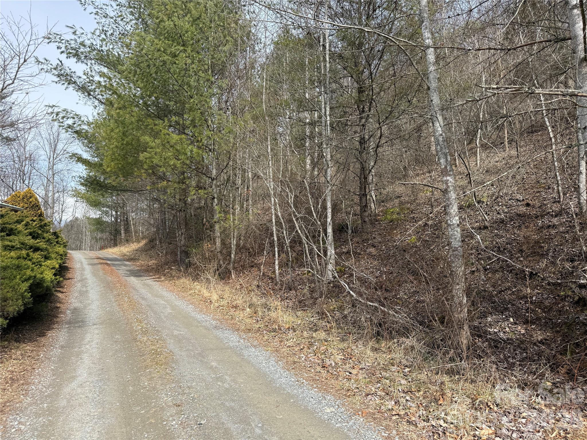 000 Rosalie Lane Waynesville NC 28785