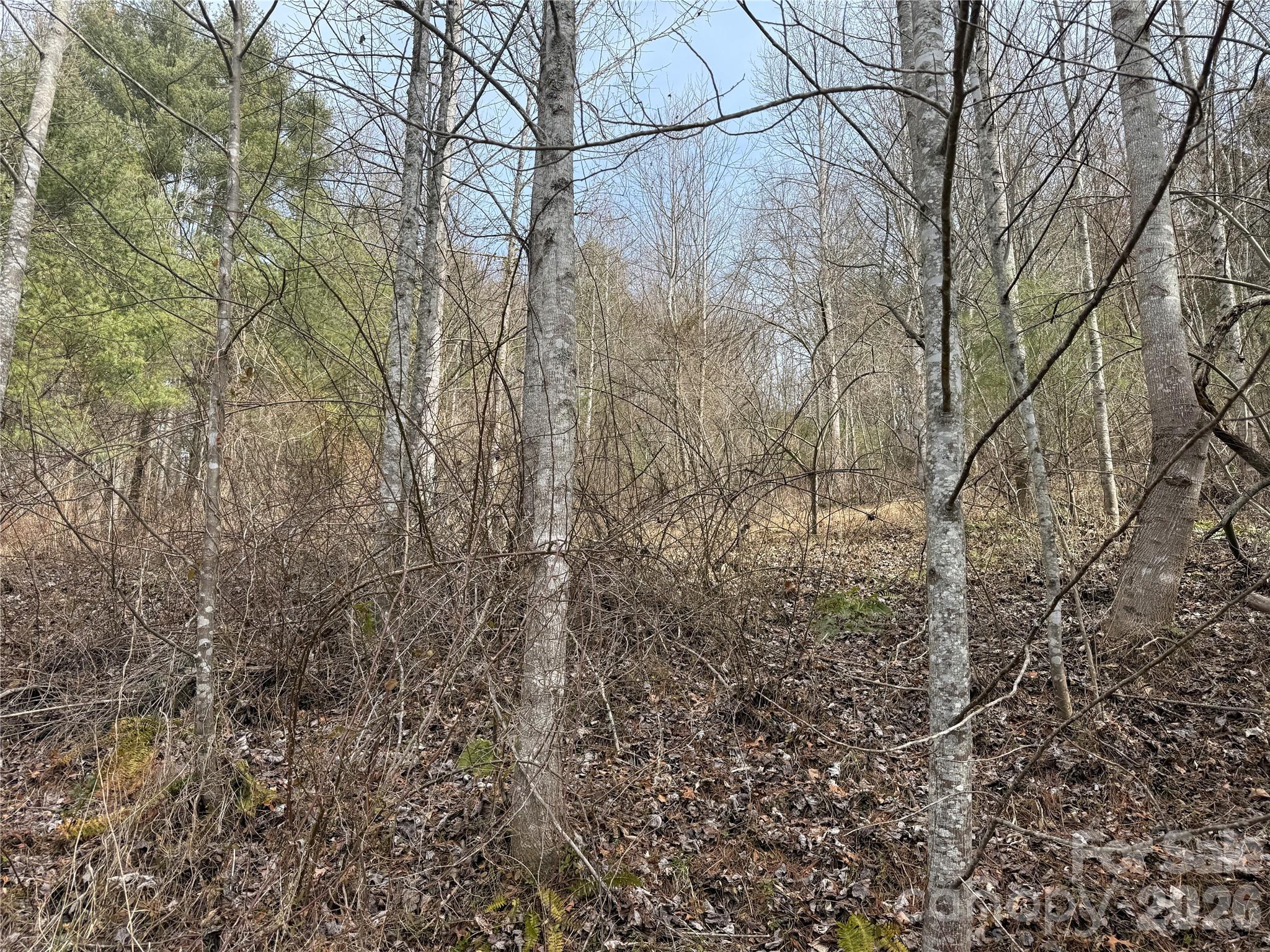 000 Rosalie Lane Waynesville NC 28785