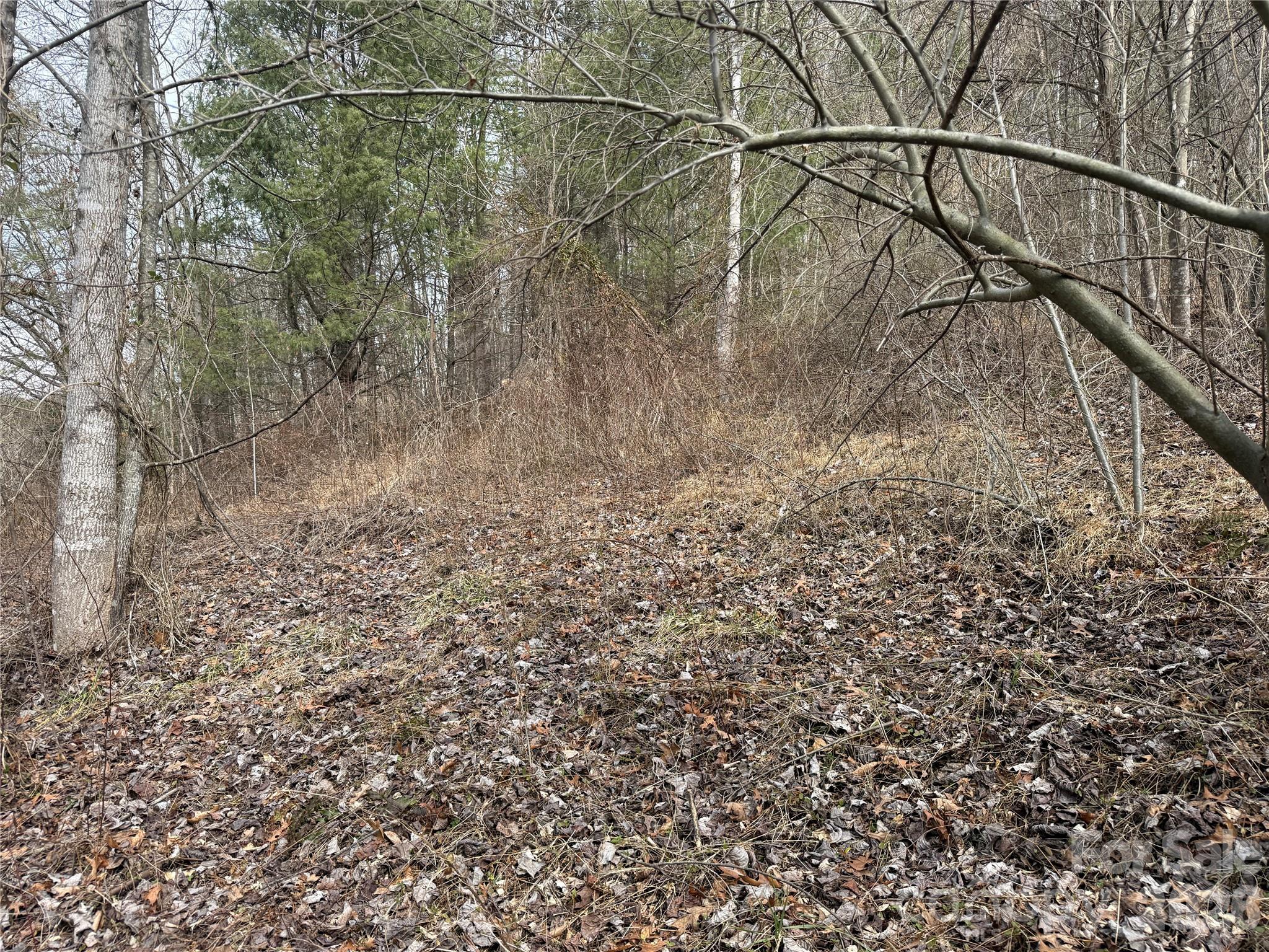 000 Rosalie Lane Waynesville NC 28785