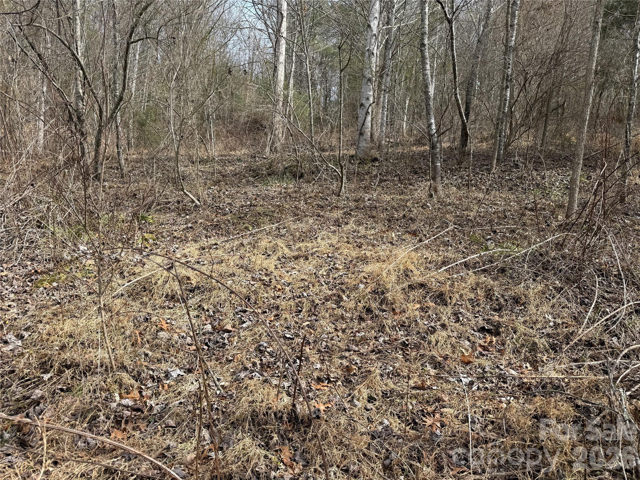 000 Rosalie Lane Waynesville NC 28785