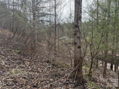 000 Rosalie Lane Waynesville NC 28785