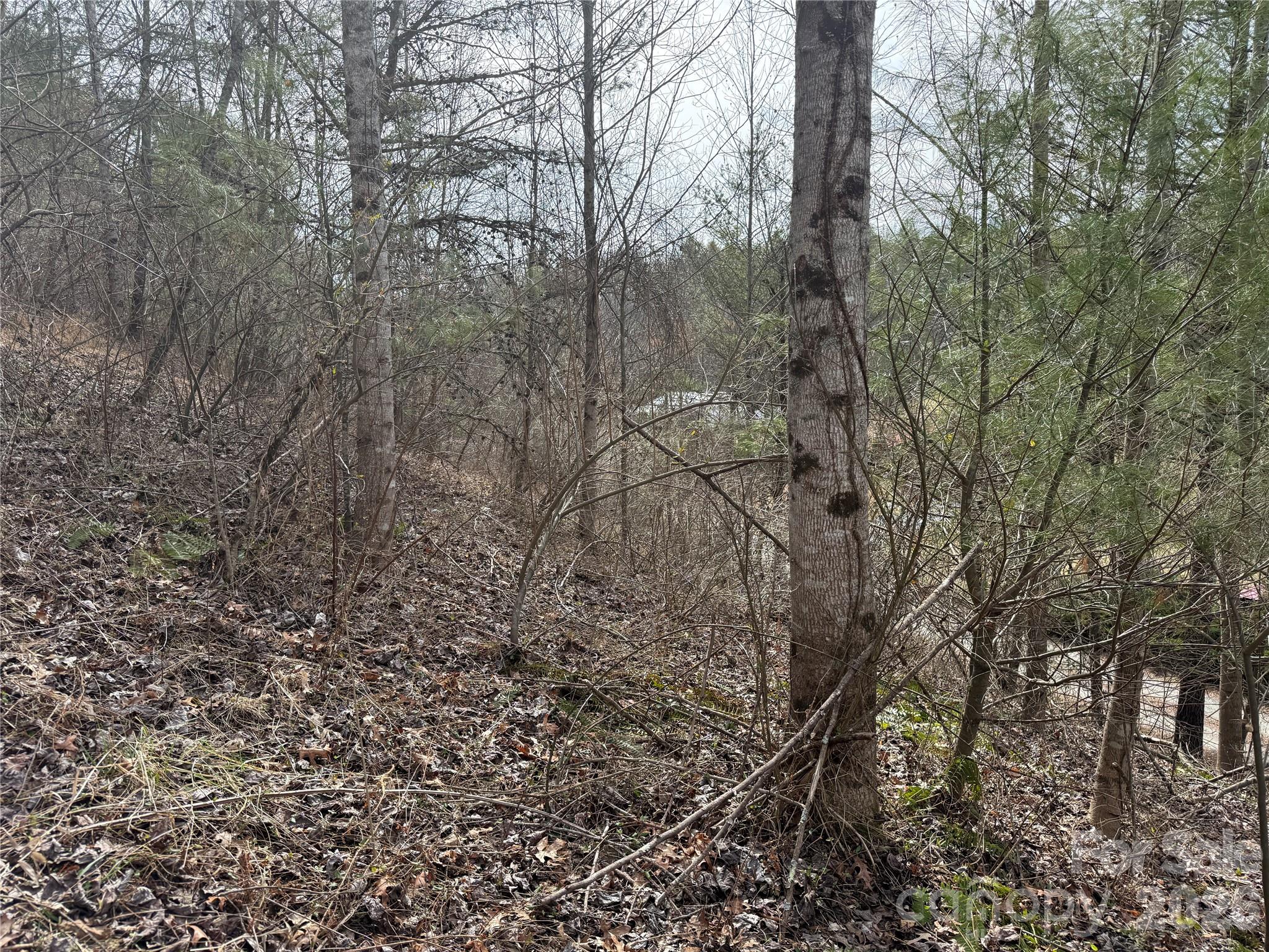 000 Rosalie Lane Waynesville NC 28785
