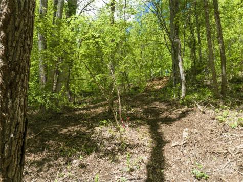 26 Fall Mountain Road Asheville NC 28803