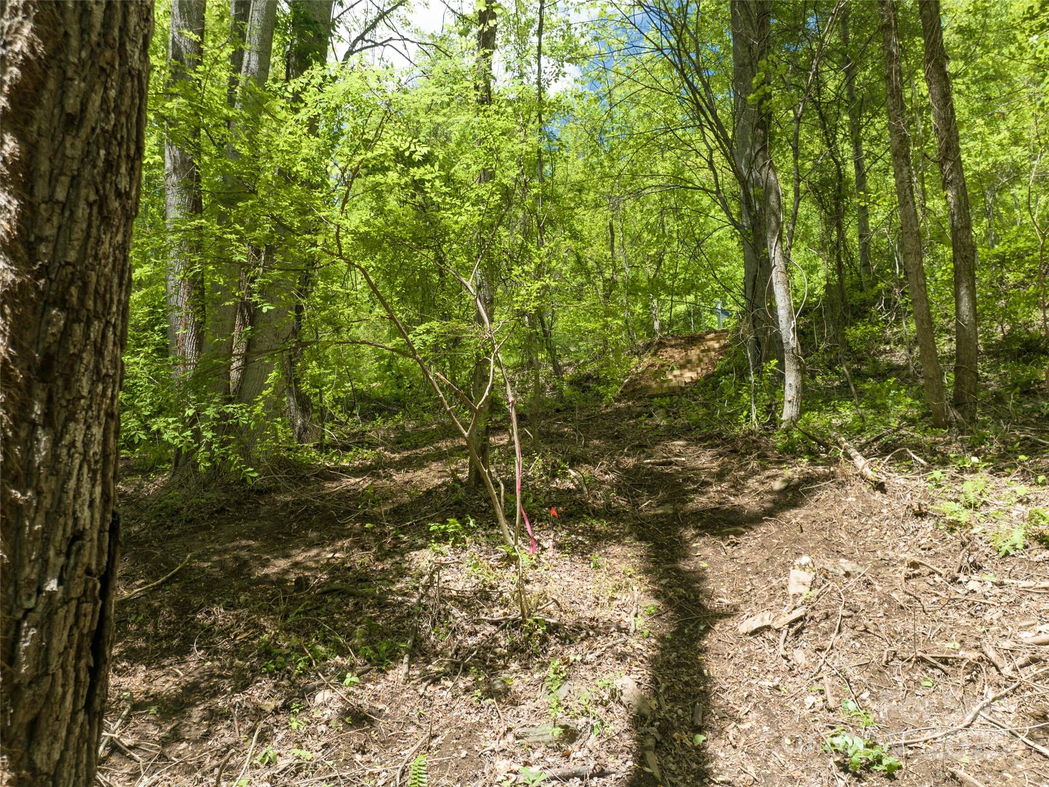 26 Fall Mountain Road Asheville NC 28803