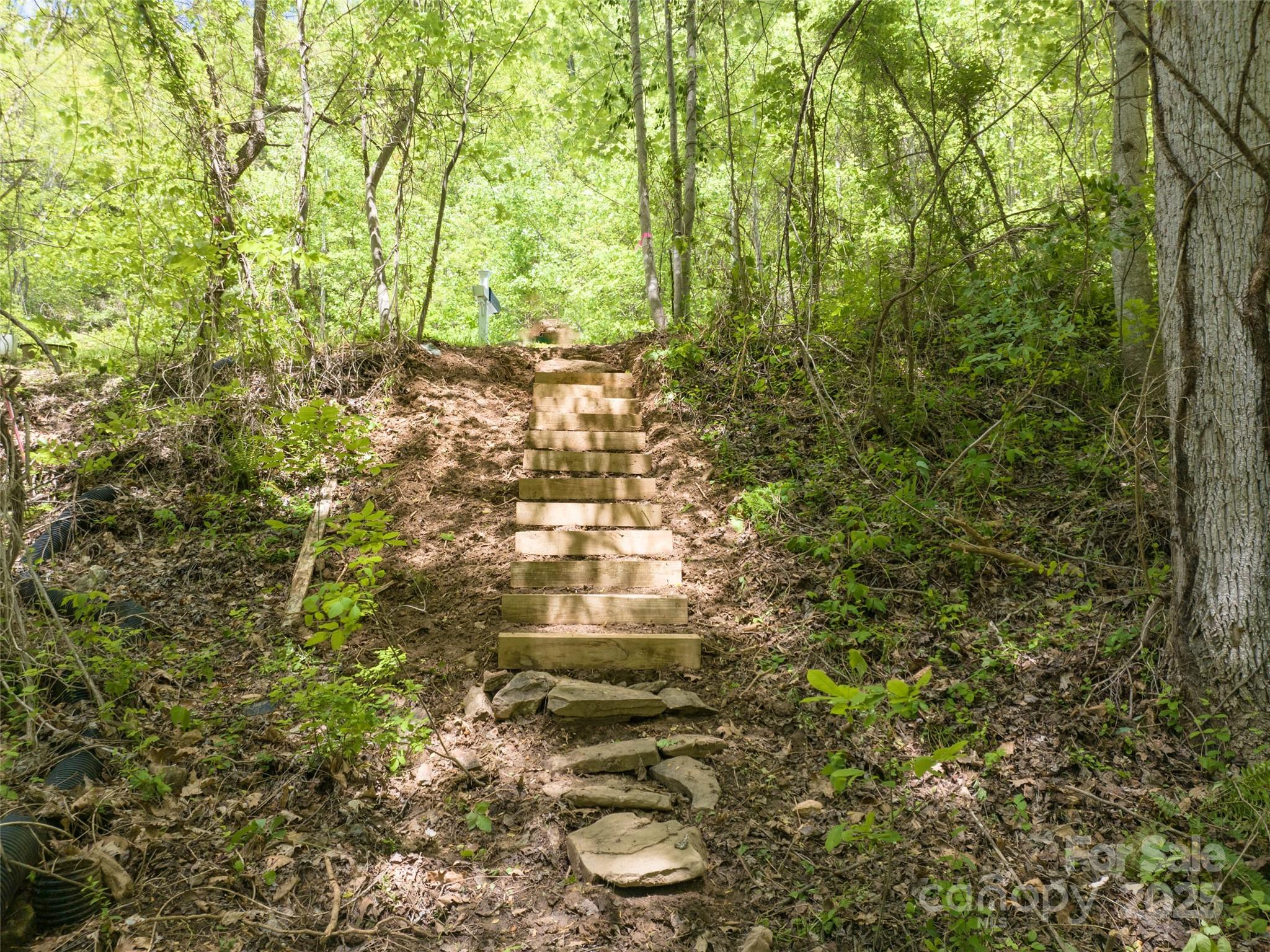 26 Fall Mountain Road Asheville NC 28803