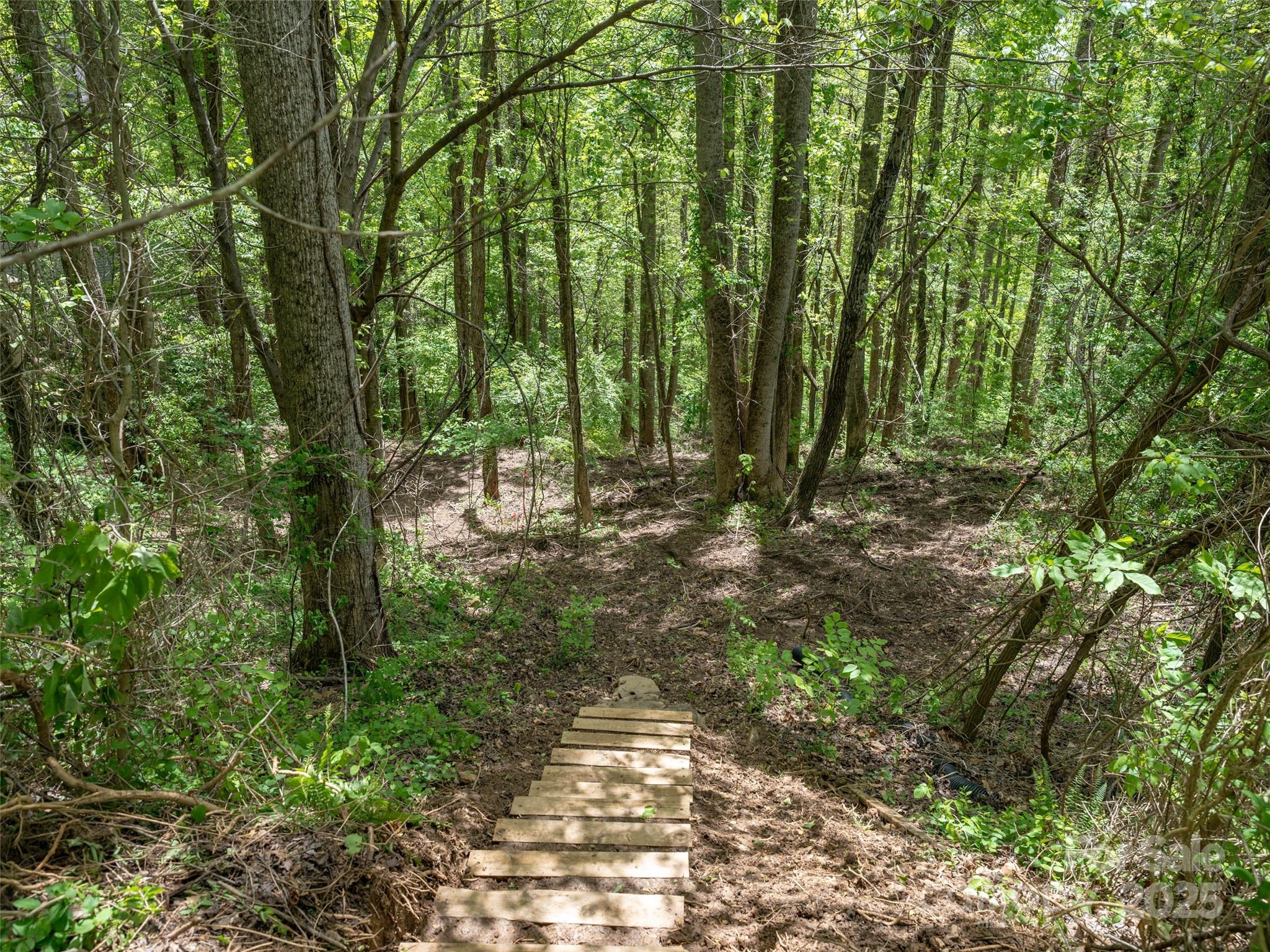 26 Fall Mountain Road Asheville NC 28803