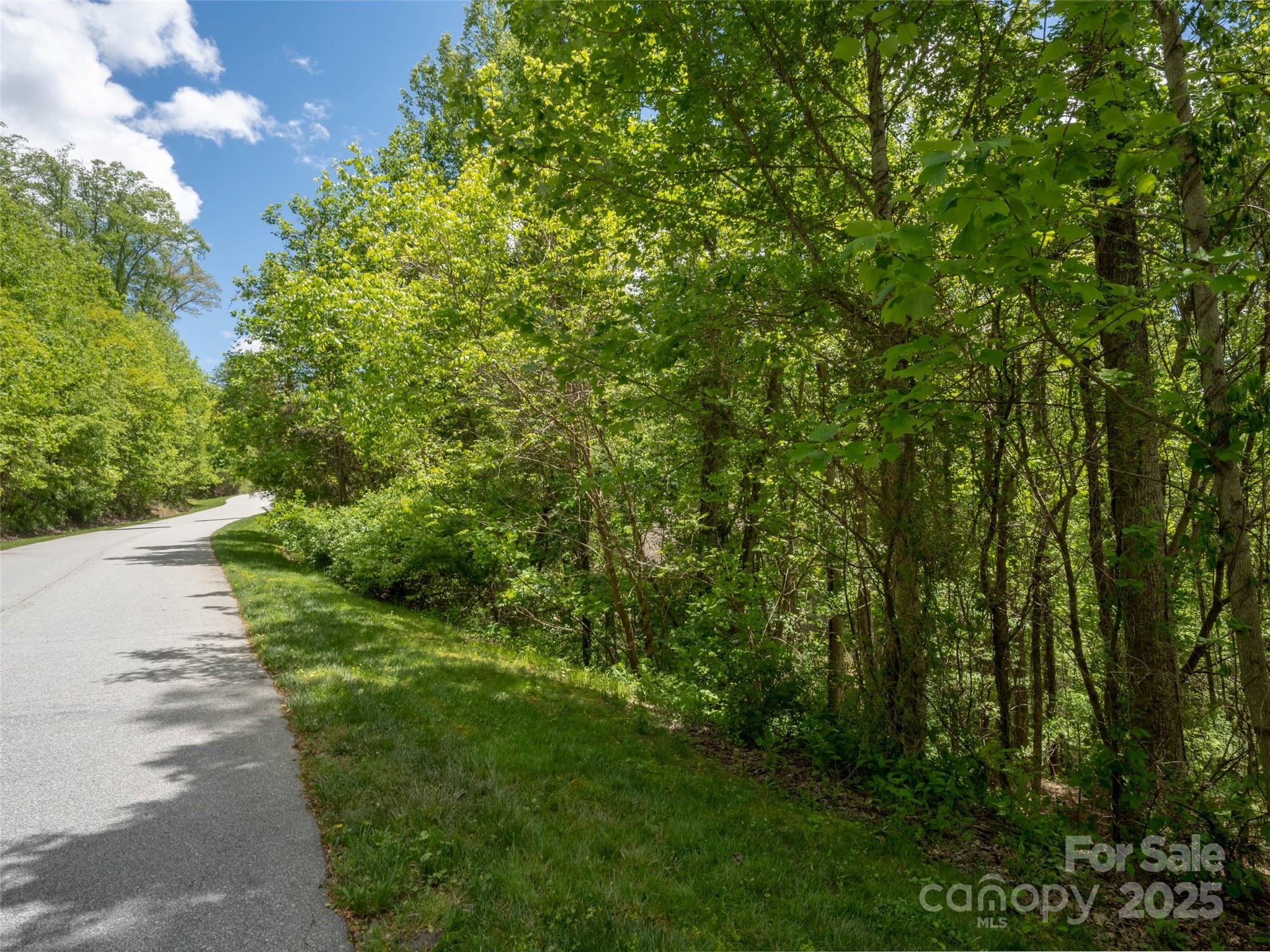 26 Fall Mountain Road Asheville NC 28803