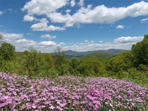26 Fall Mountain Road Asheville NC 28803
