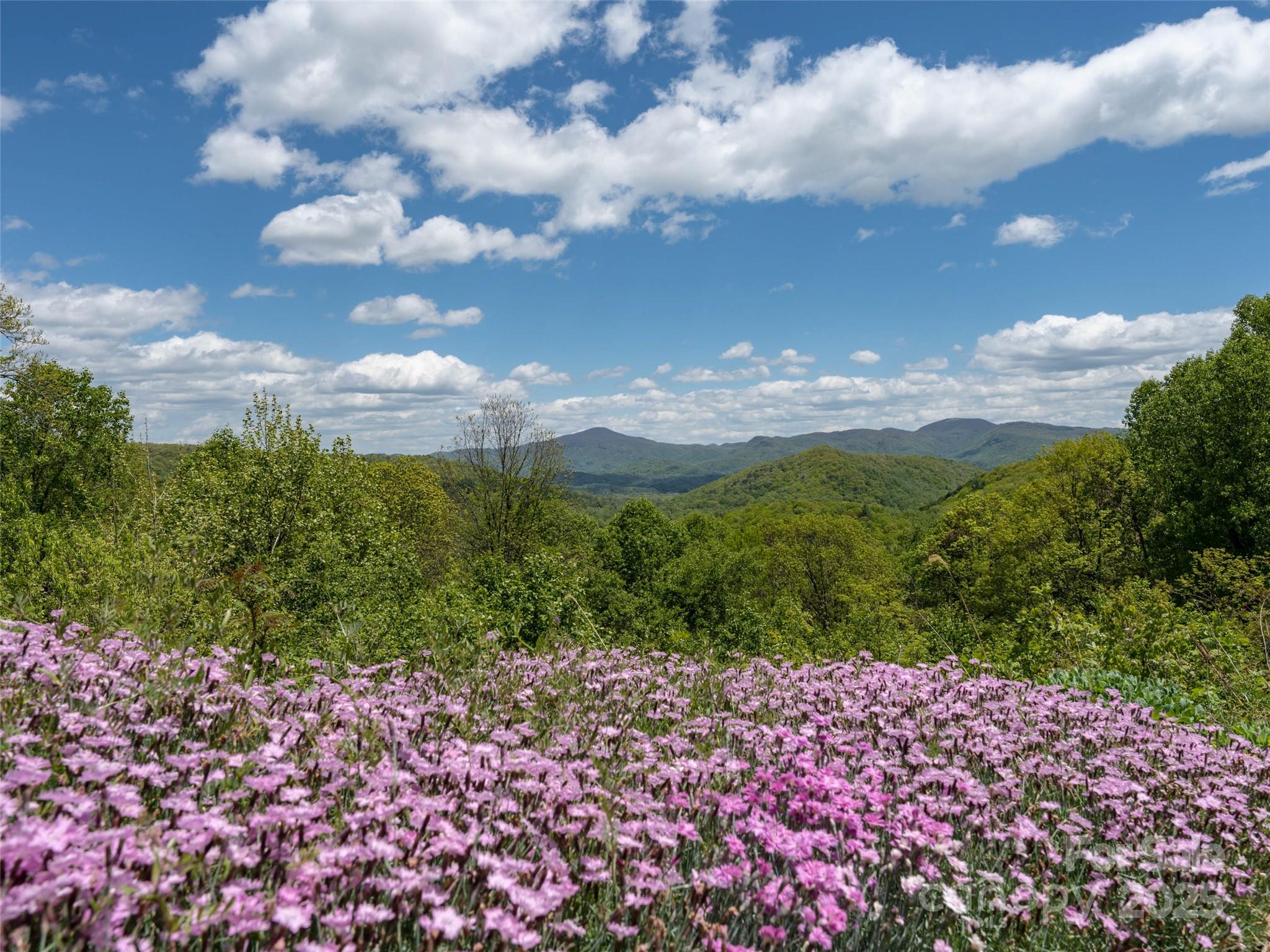 26 Fall Mountain Road Asheville NC 28803