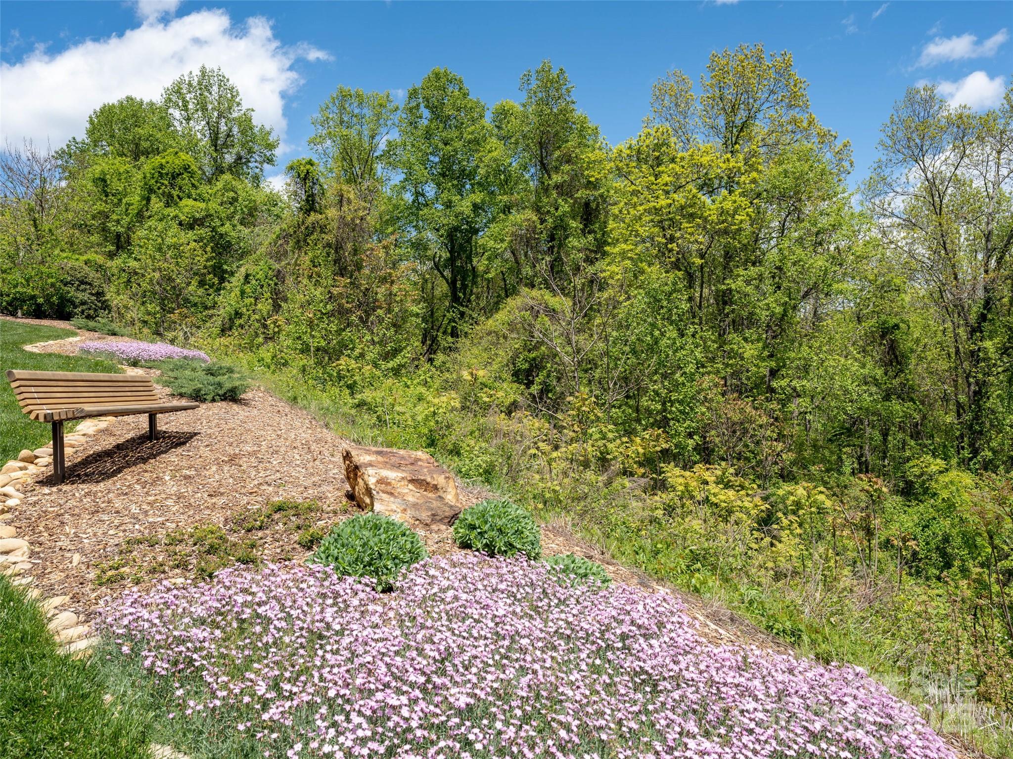 26 Fall Mountain Road Asheville NC 28803