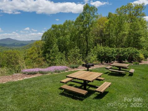 26 Fall Mountain Road Asheville NC 28803