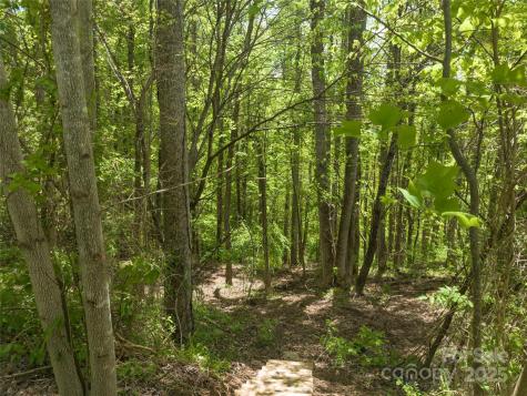 26 Fall Mountain Road Asheville NC 28803