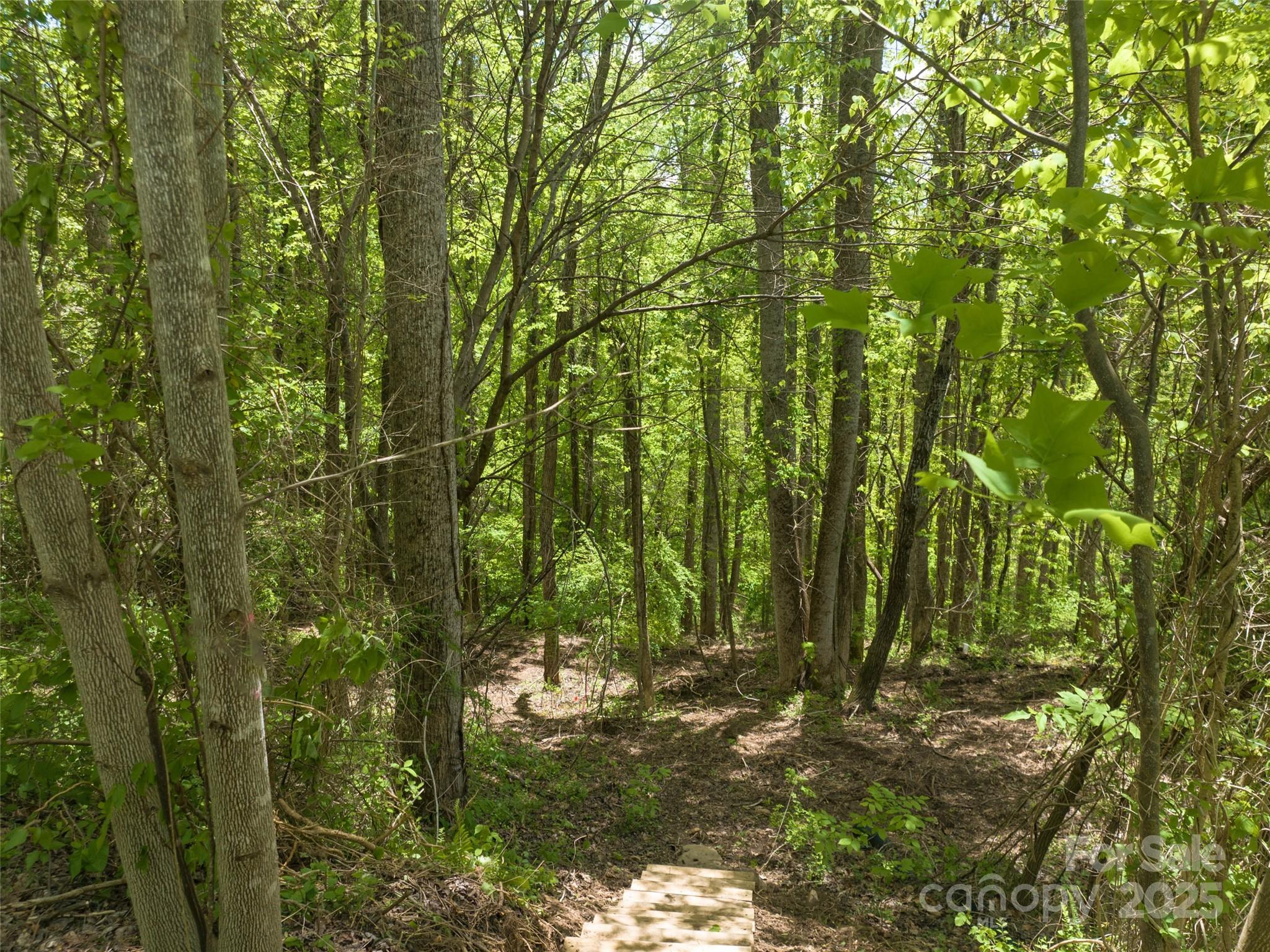 26 Fall Mountain Road Asheville NC 28803
