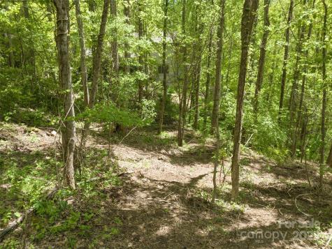 26 Fall Mountain Road Asheville NC 28803