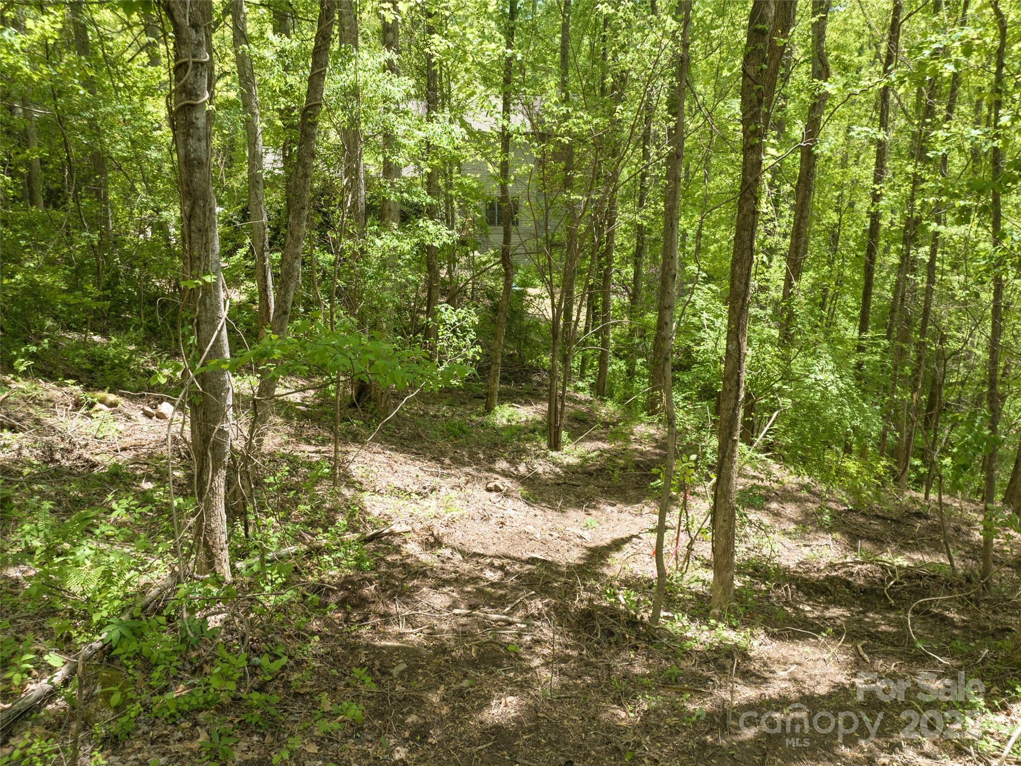26 Fall Mountain Road Asheville NC 28803