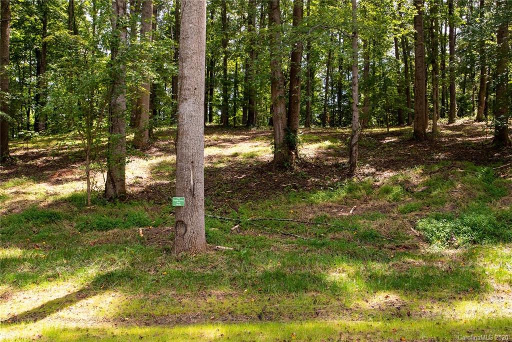 112 Poplar Green Way Asheville NC 28806