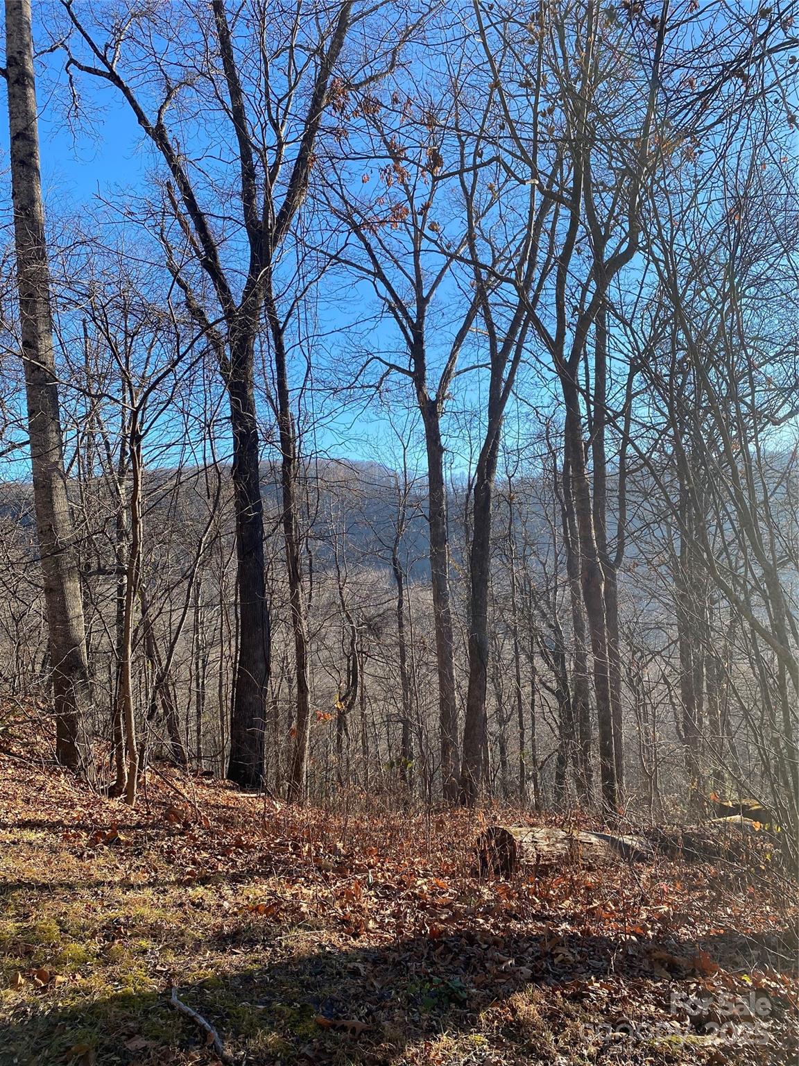 000 Wash Freeman Road Hendersonville NC 28792