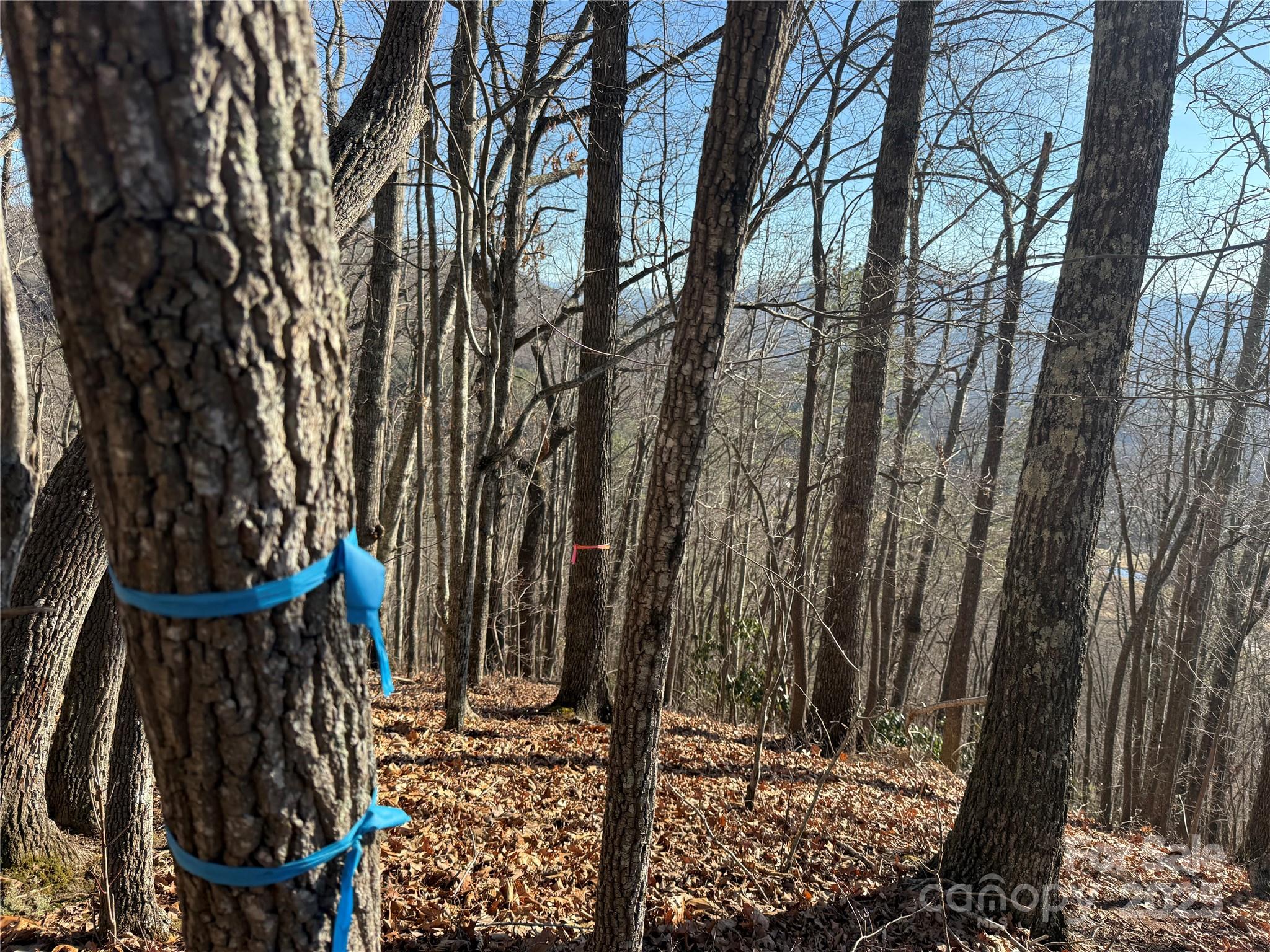 Lot 12 Bernies Trail Waynesville NC 28785